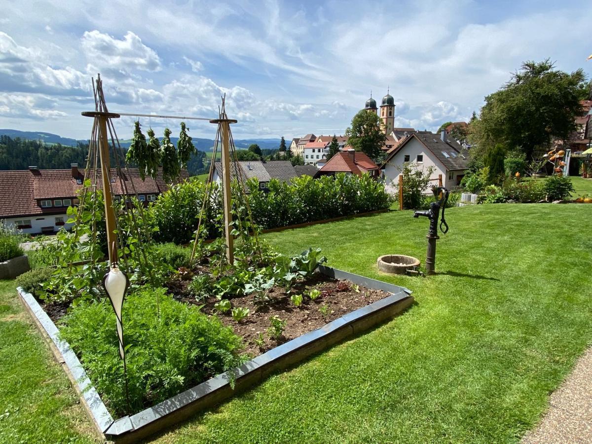 Bergsonne *
